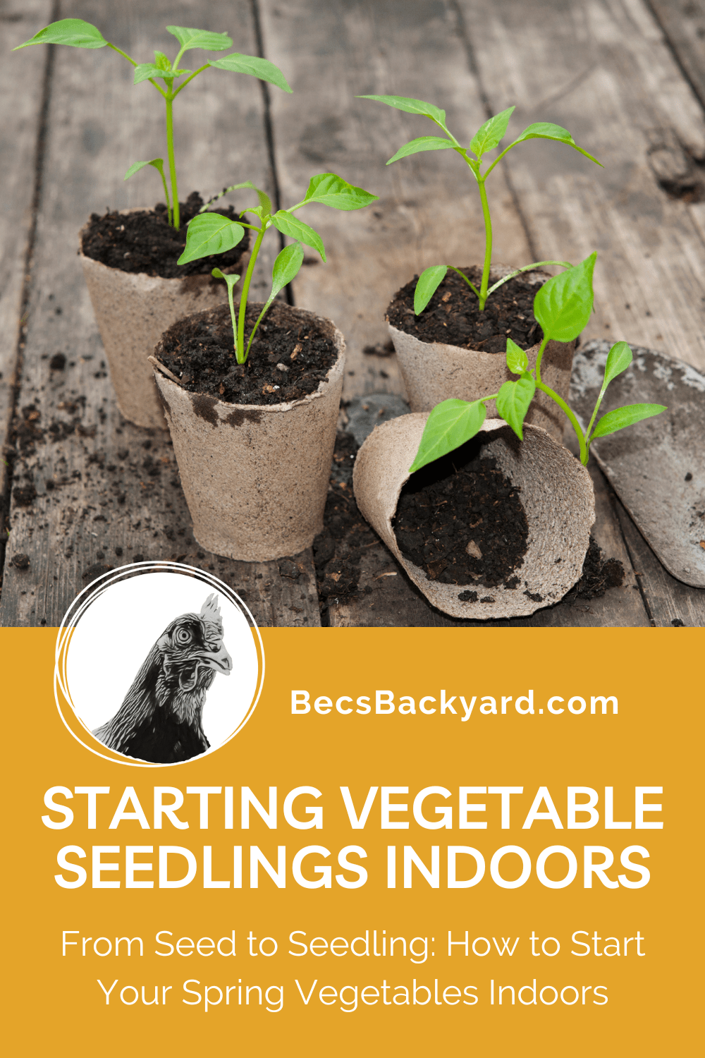 How to Master Starting Vegetable Seedlings Indoors in 2024