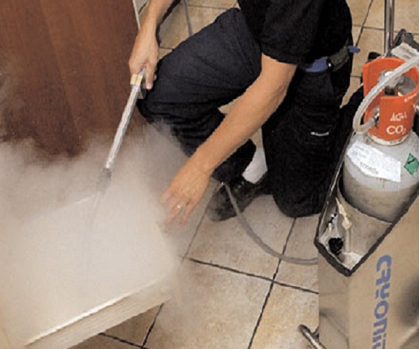 HOW TO GET RID OF BED BUGS AT HOME How to kill bed bugs. Killing bed