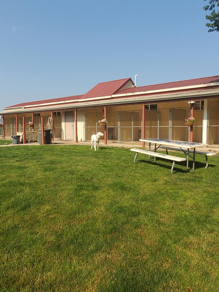 Gallery Bed & Biscuit Pet Resort