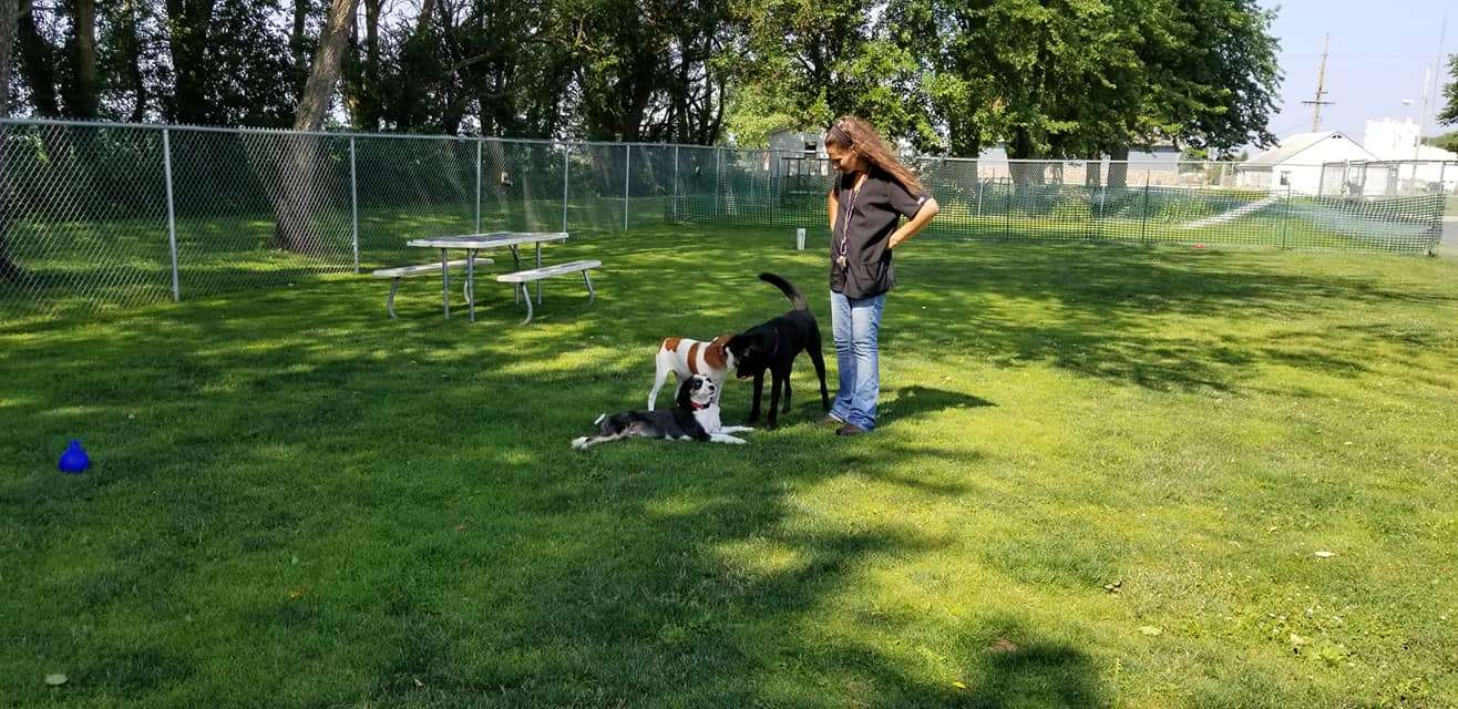 Gallery Bed & Biscuit Pet Resort