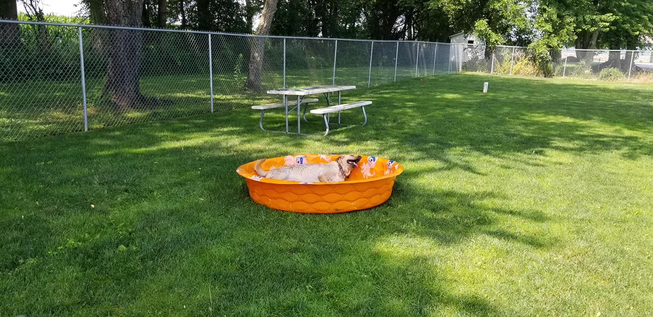 Gallery Bed & Biscuit Pet Resort