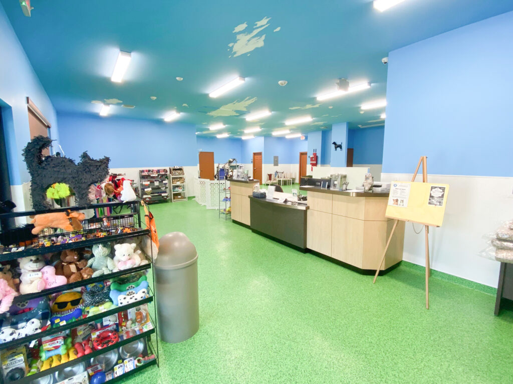 Services Brevard Bed & Biscuit