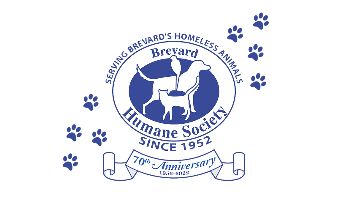 Home Brevard Bed & Biscuit