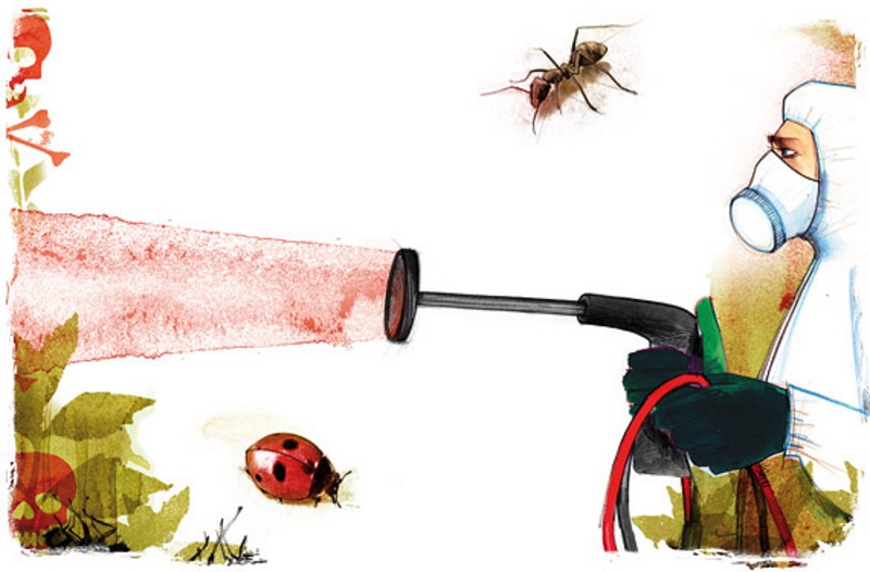 Natural Pest Control Remedies For Every Home.