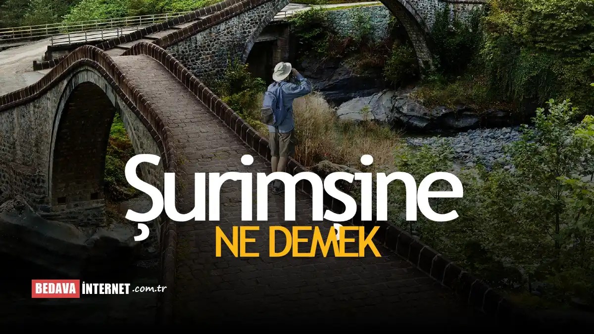 Şurimşine Ne Demek Lazcada Canım, Sevgilim Hayatım Ne Demek? Yaşam