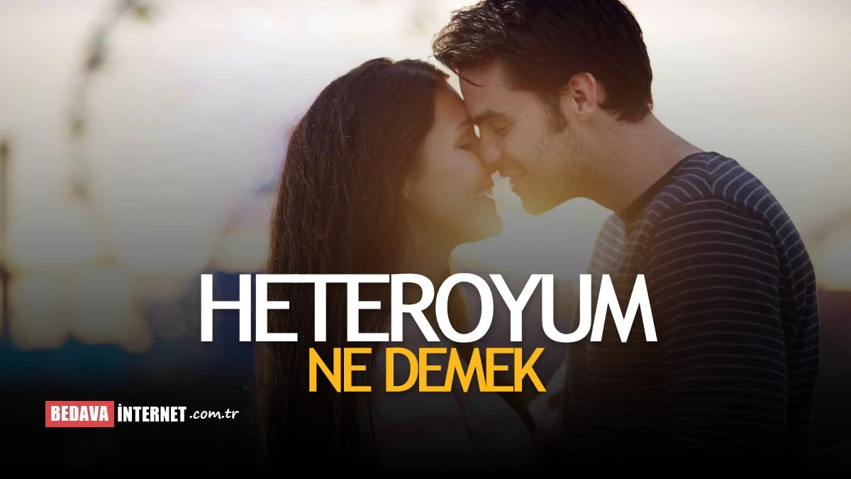 Heteroyum Ne Demek Heteroseksüel Nedir? İlişkiler