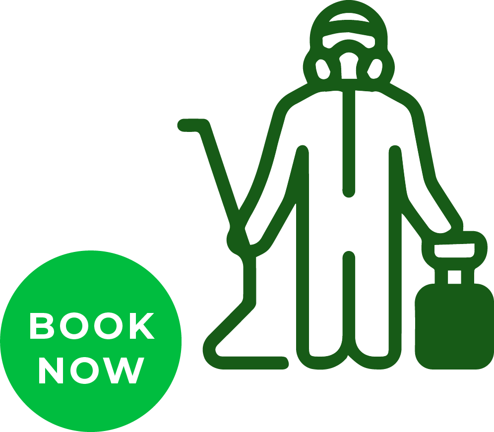 About Bedbug911 Bedbug Extermination Company in New York