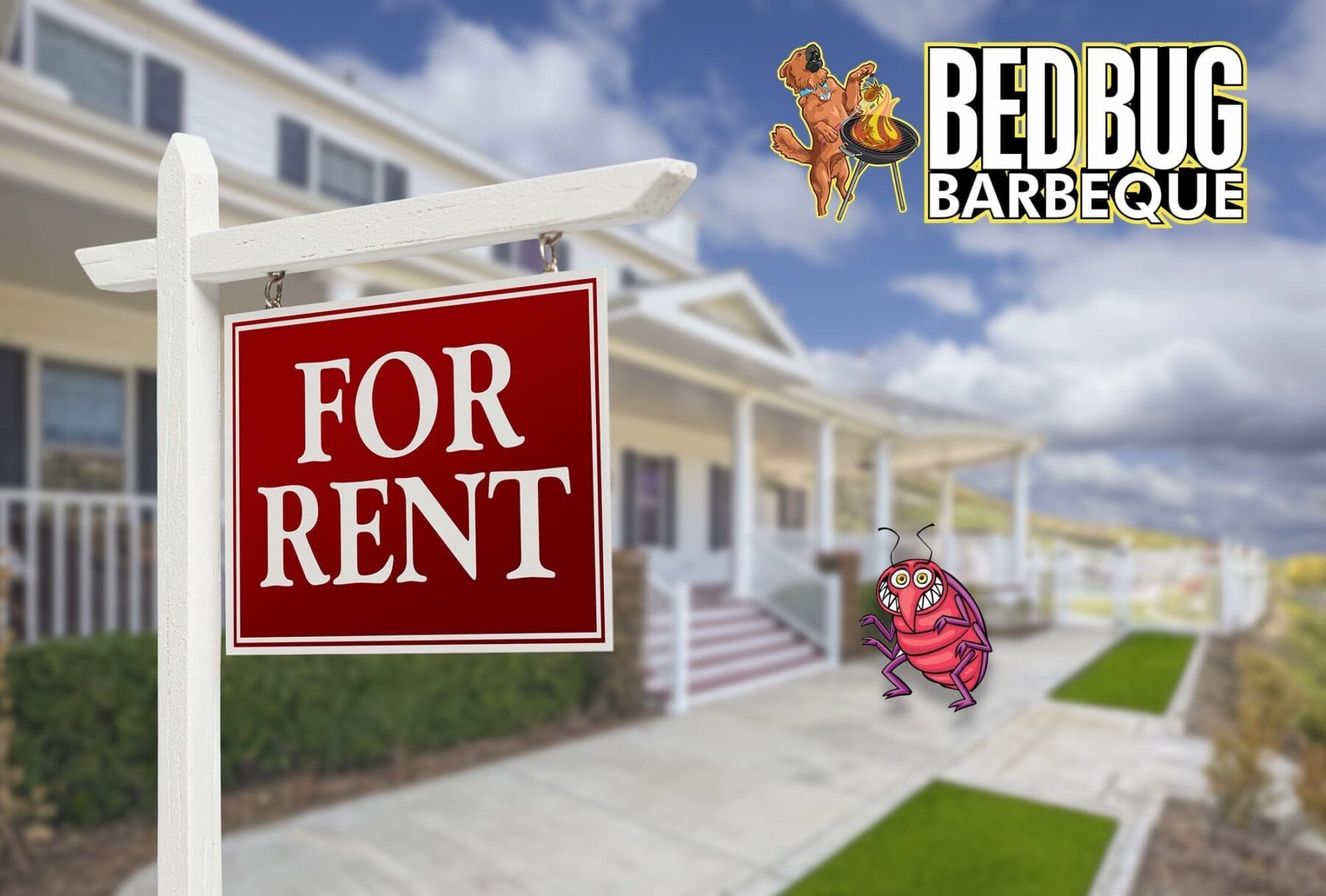 What Landlords Need to Know About Bed Bugs Bed Bug BBQ