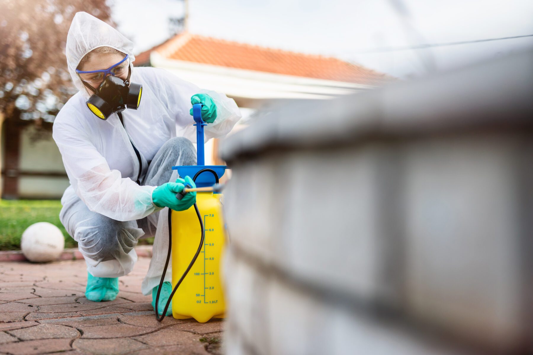 Do Bed Bugs Live Outside? All You Need to Know! Bed Bug Cleveland