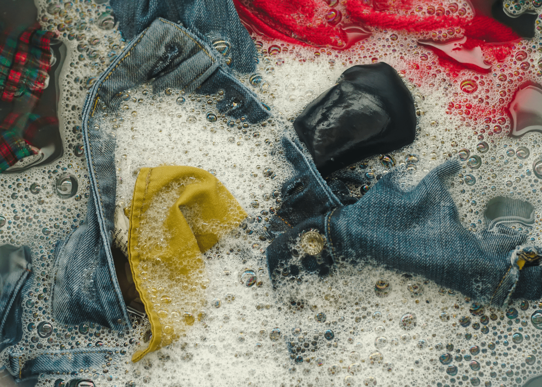 How to Remove Bed Bugs That Have Been Here for Years Bed Bug Cleveland, Ohio Bed Bug