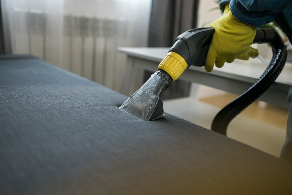 NonToxic and SprayFree Ways to Remove Bed Bugs Bed Bug Cleveland