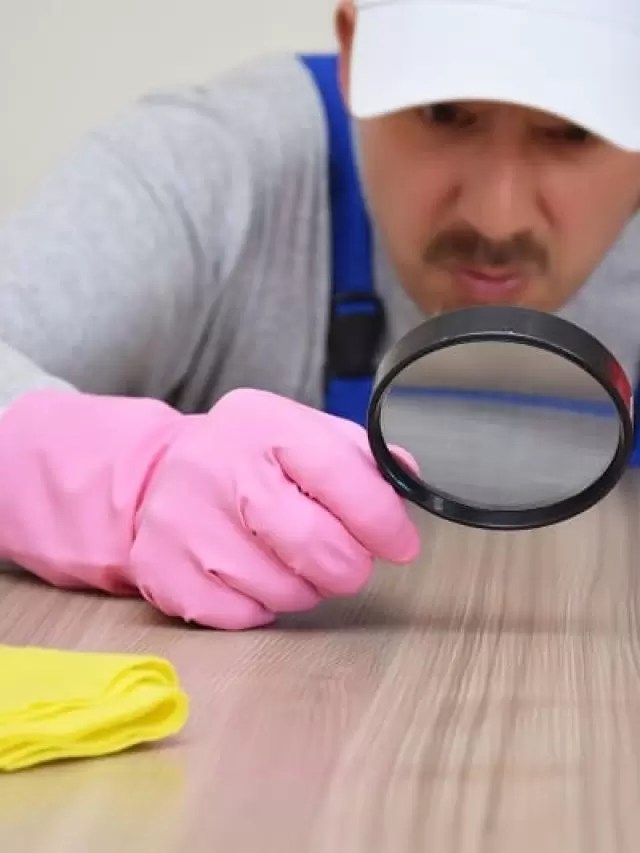 DOES COLD KILL BED BUGS? Bed Bug Detected