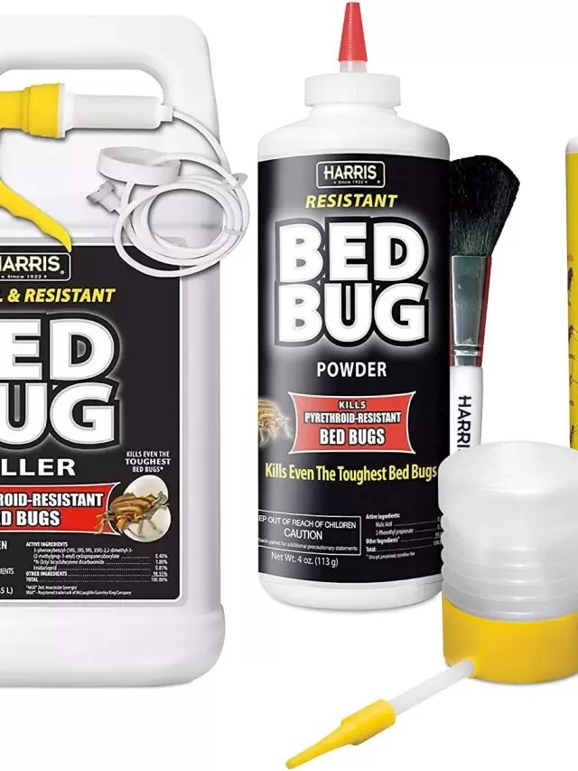 What are the best chemicals to clear out bed bugs? Bed Bug Detected