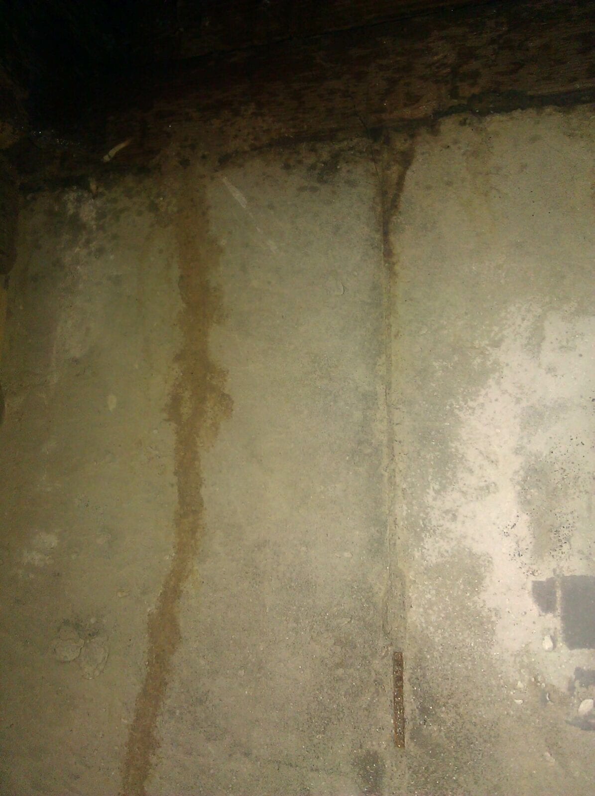 Termite Treatment Options Zip Zap Pest Control