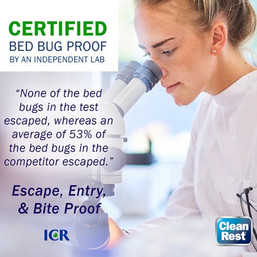 California King Mattress Cover Bed Bug Plug
