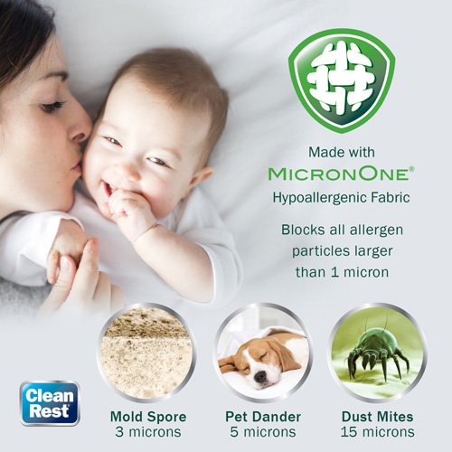 California King Mattress Cover Bed Bug Plug