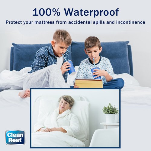 California King Mattress Cover Bed Bug Plug