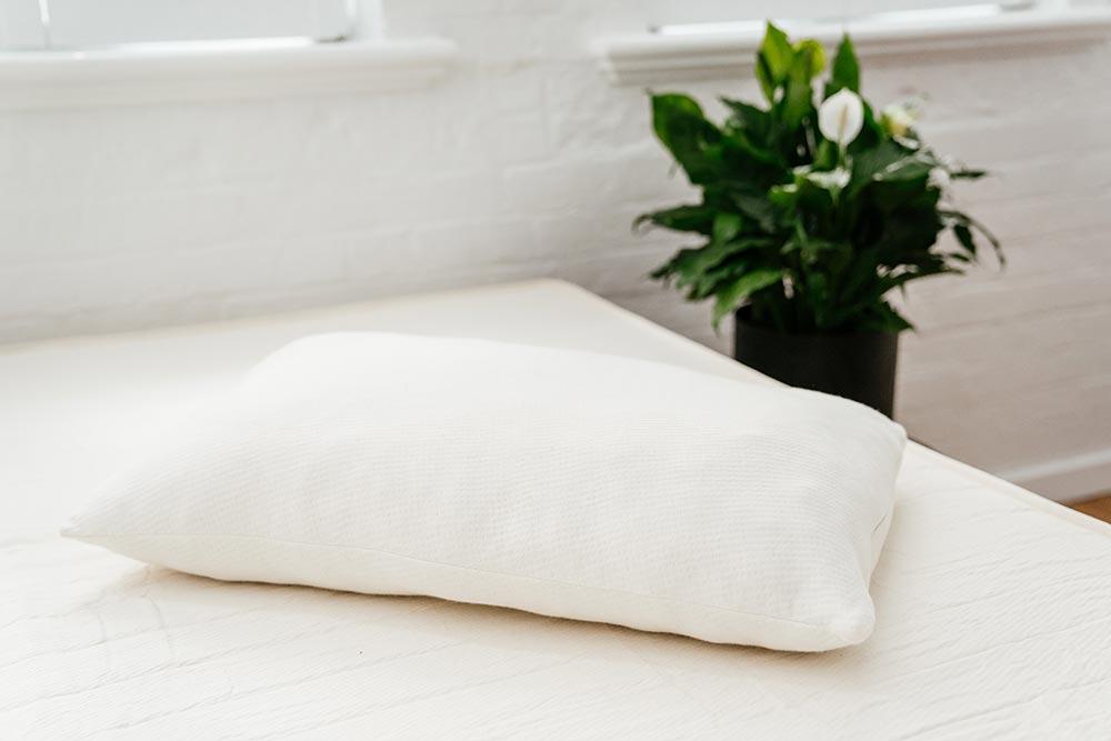 Peace lily Kapok Pillow Bedbuyer™ Review (in 2023)