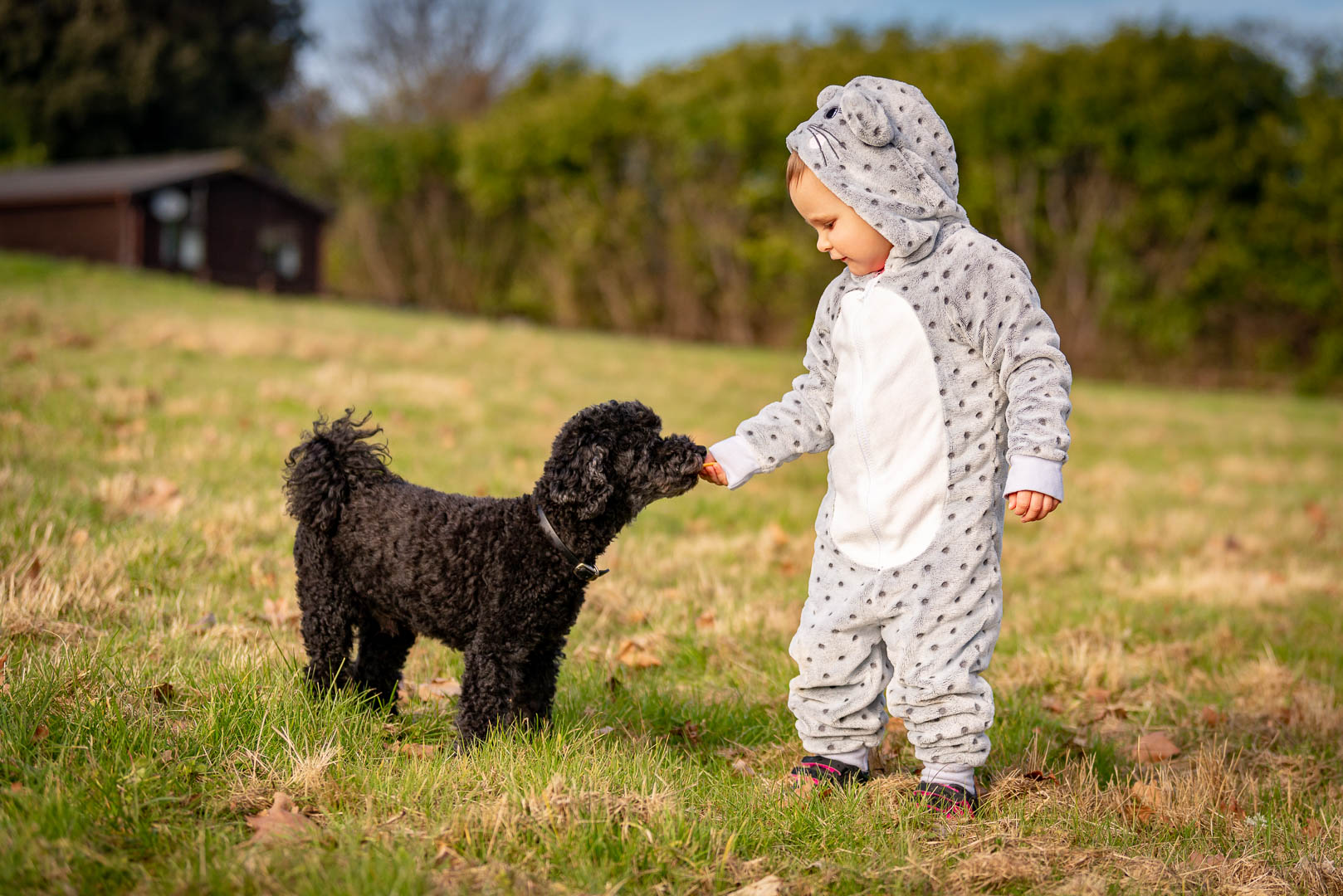 DogFriendly Cottages in Kent Bring your best friend.