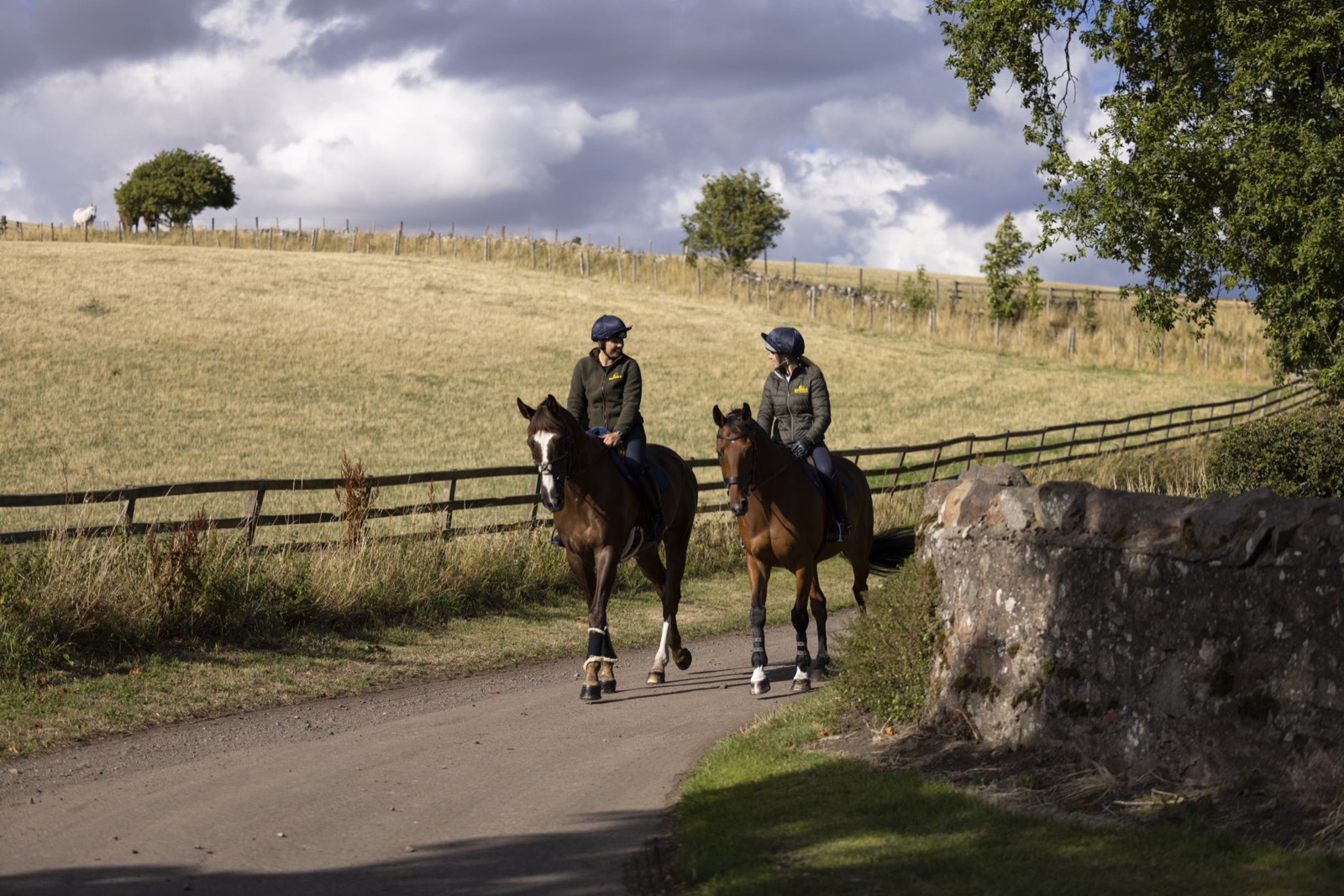 Horse Health Bedmax Shavings Equine bedding made specially for horses.