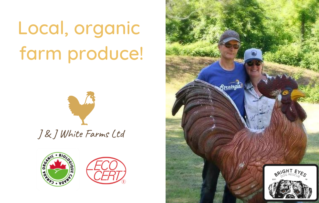 J & J White Farms Bright Eyes Dog Rescue