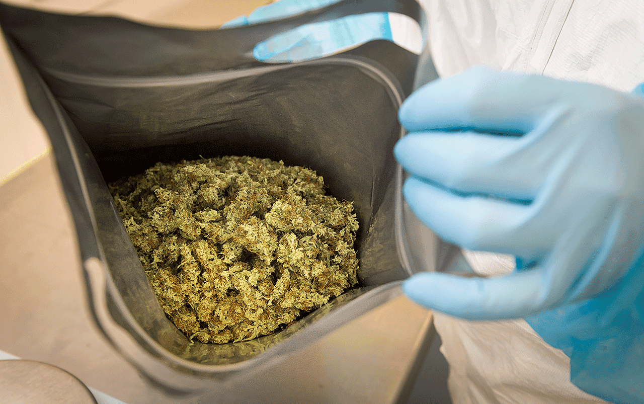 Smoking cannabis remains the number one mode of administration