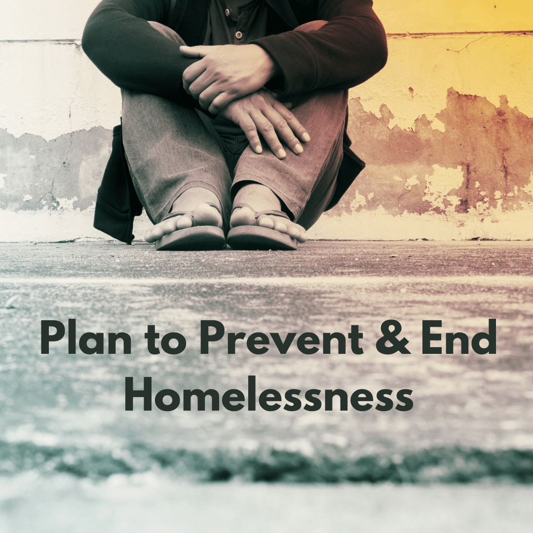Illinois’ Plan to Prevent and End Homelessness Summarized Beds Plus Care