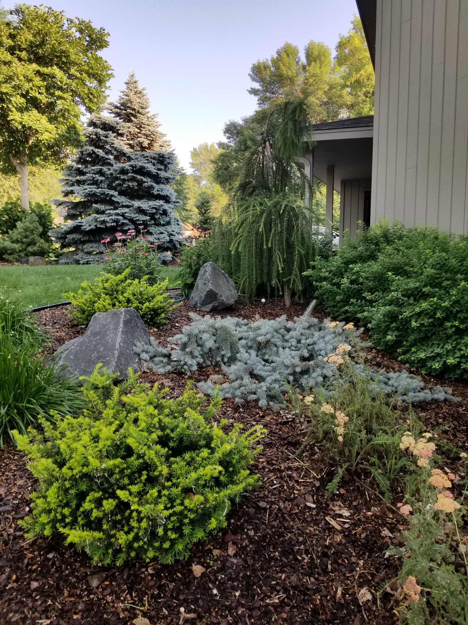 Landscaping Contractor Shakopee MN and Landscaping Shakopee MN