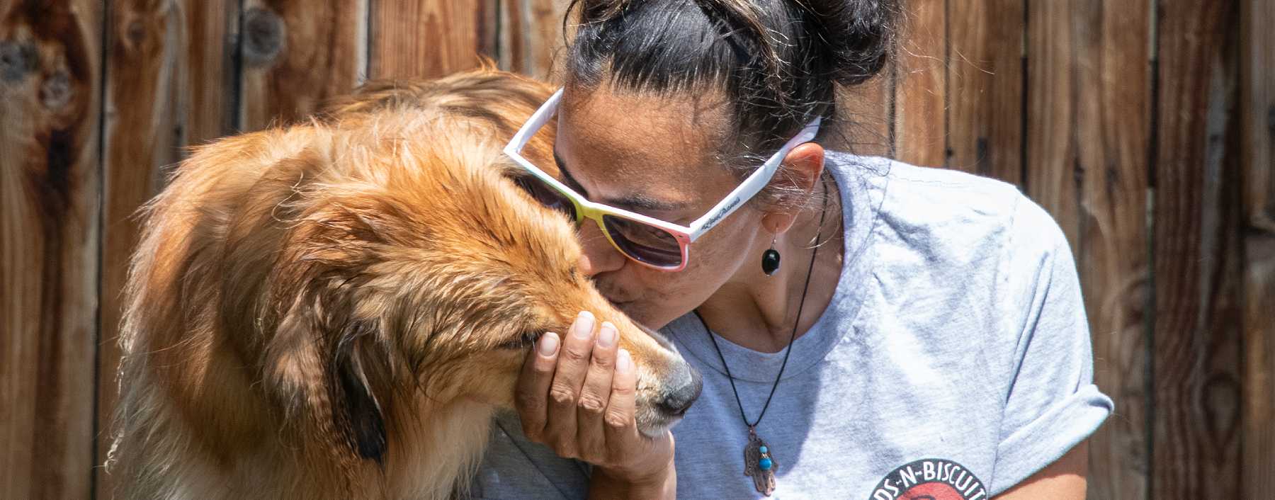 Reviews & Testimonials BedsNBiscuits