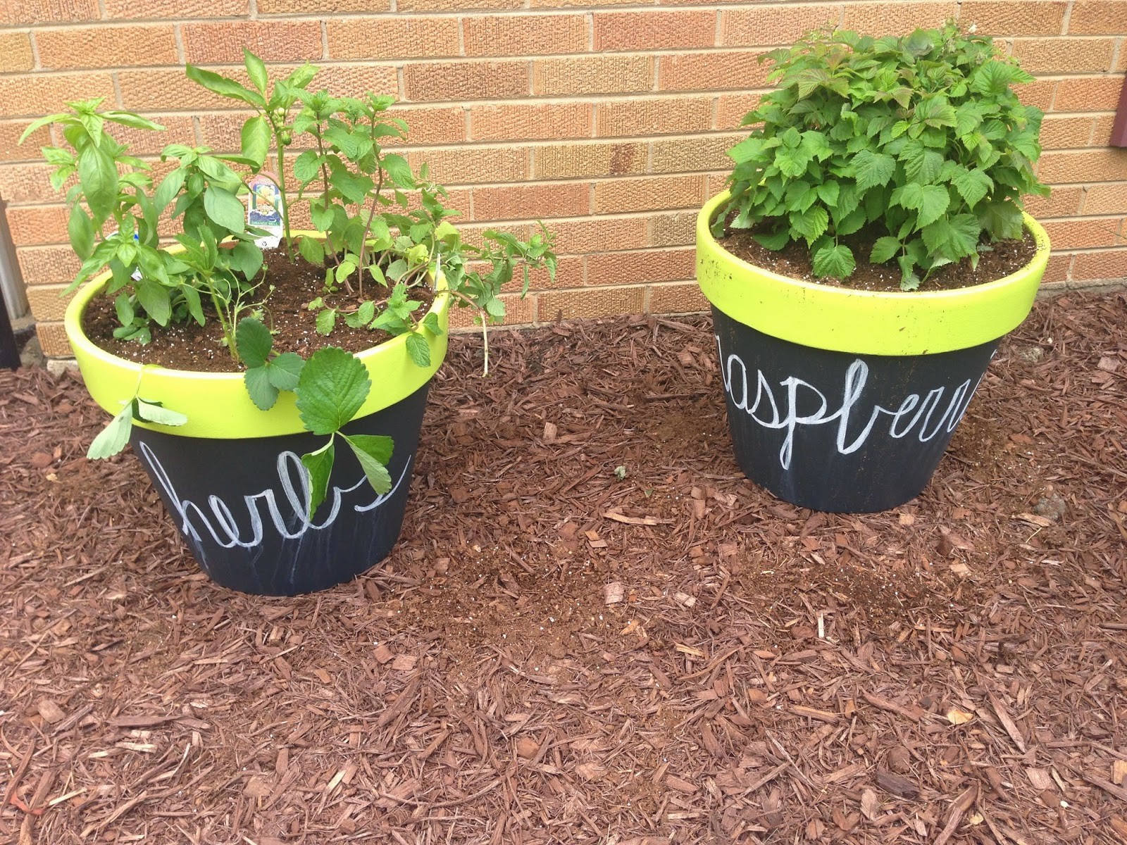 Tips Use Chalkboard Paint on Planters Bedzine