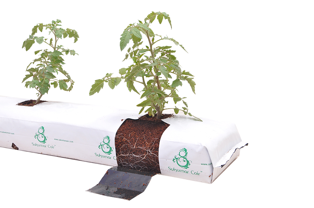Coconut Peat/ Grow Bag Product Detail