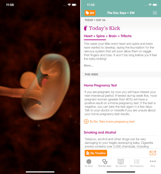 12 Best Pregnancy Apps for Android and iPhone in 2020 Beebom