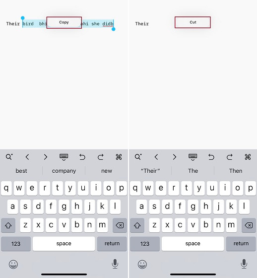 30 Cool iPhone Shortcuts You Should Be Using in 2020 Beebom 30 Cool iPhone Shortcuts You Should Be Using in 2020 Beebom