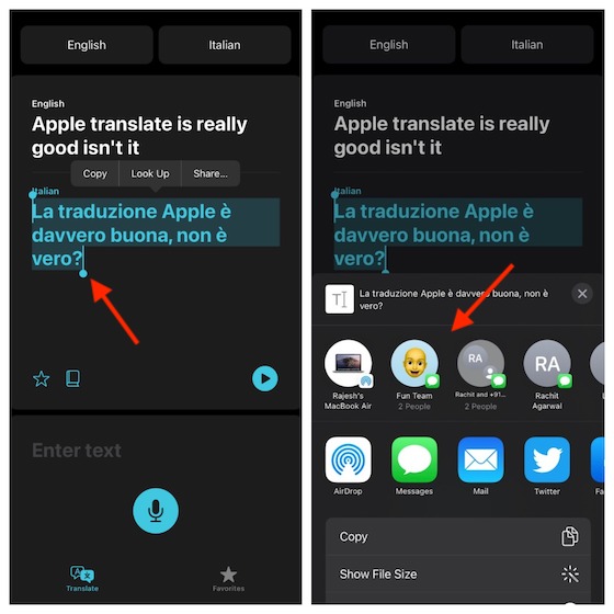 How to Use Apple Translate App in iOS 14 Guide] Beebom