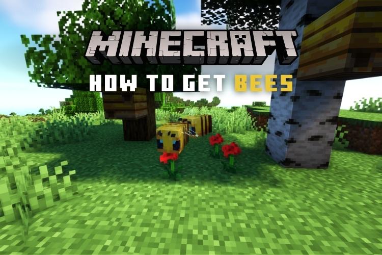 How to Get Bees in Minecraft (2022 Guide) Beebom