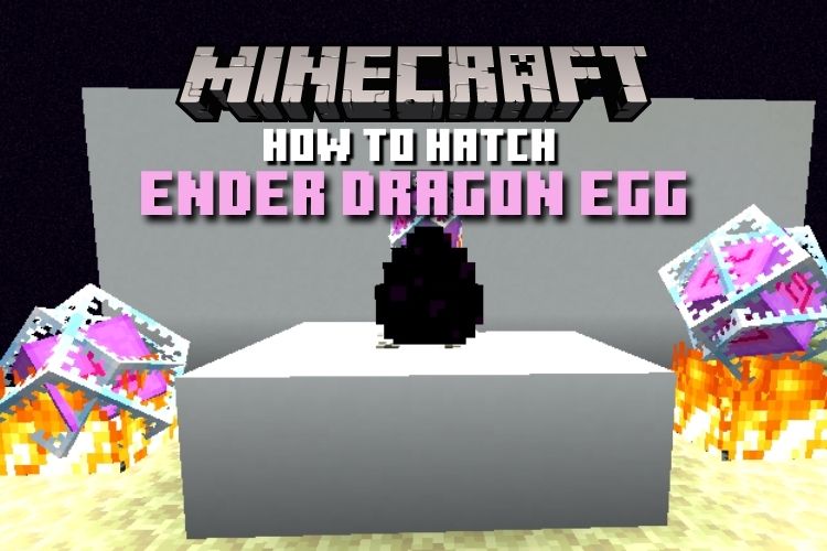 How to Hatch an Ender Dragon Egg in Minecraft (2022) Beebom