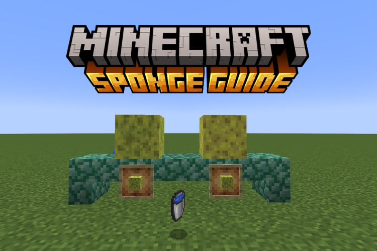 How to Get Sponges in Minecraft Beebom