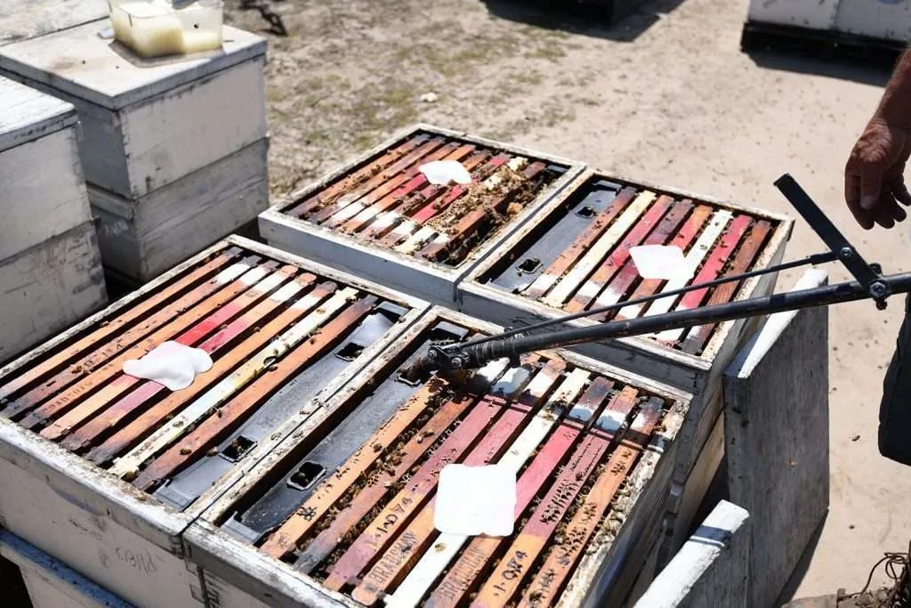 Feed Nozzle Small 23″ Bradshaw Honey Farms