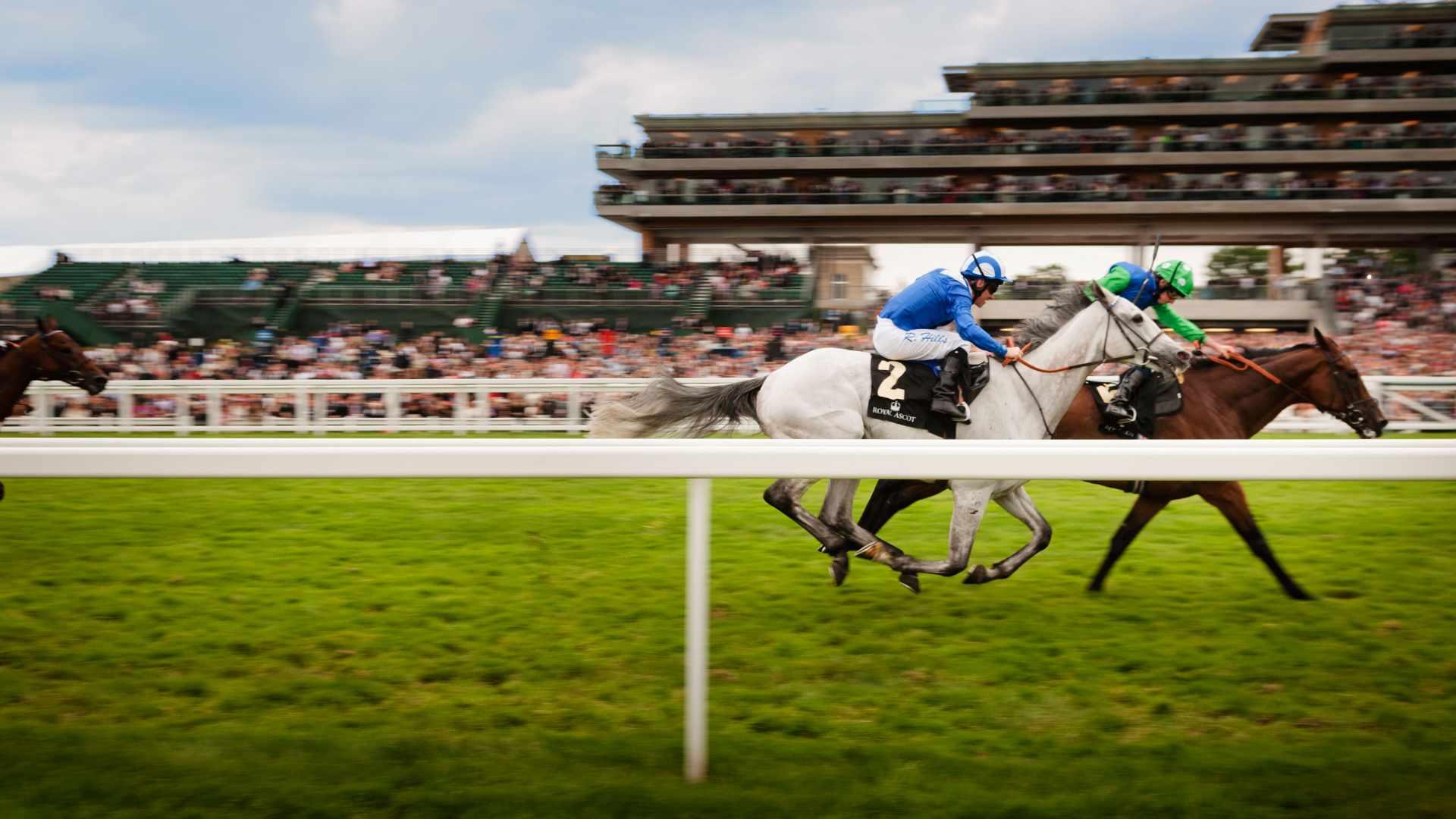 Retirement Homes Ascot Ascot Retirement Beechcroft