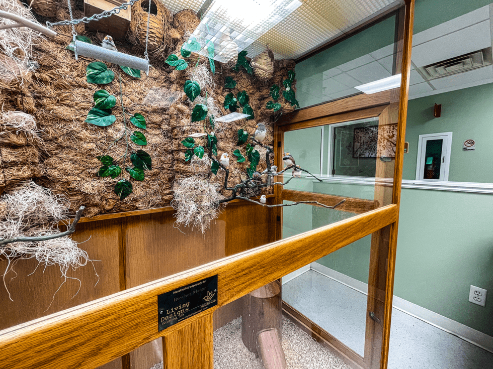 Amenities Beecher Manor Nursing and Rehabilitation