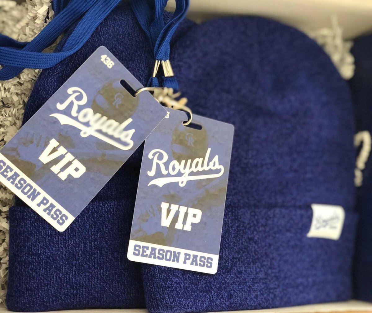 Guelph Royals Baseball Beech Hill Freight