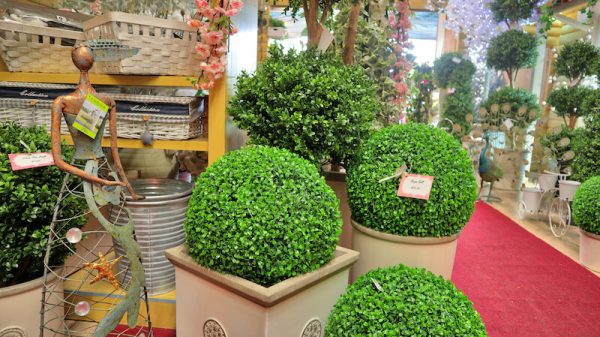 Beechmount Garden Centre in Navan for over 20 years, visit us today.