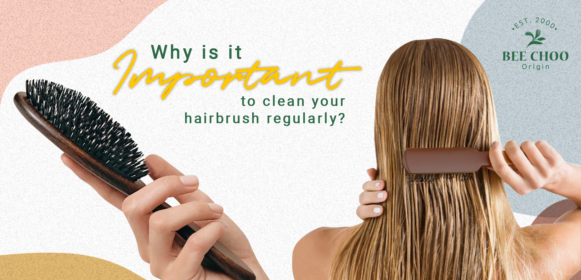 Why cleaning Hair Brush is important Bee Choo Origin