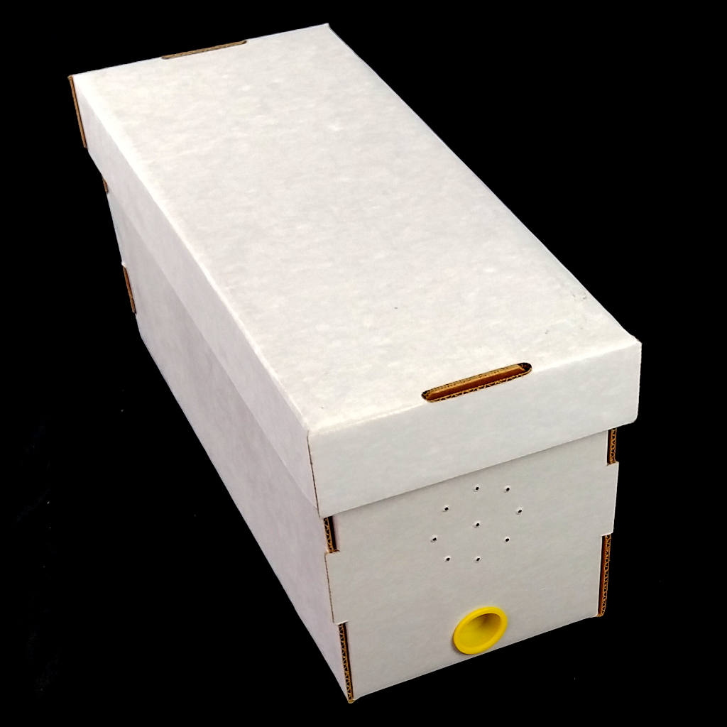 5 Frame Nucs Beecity Global