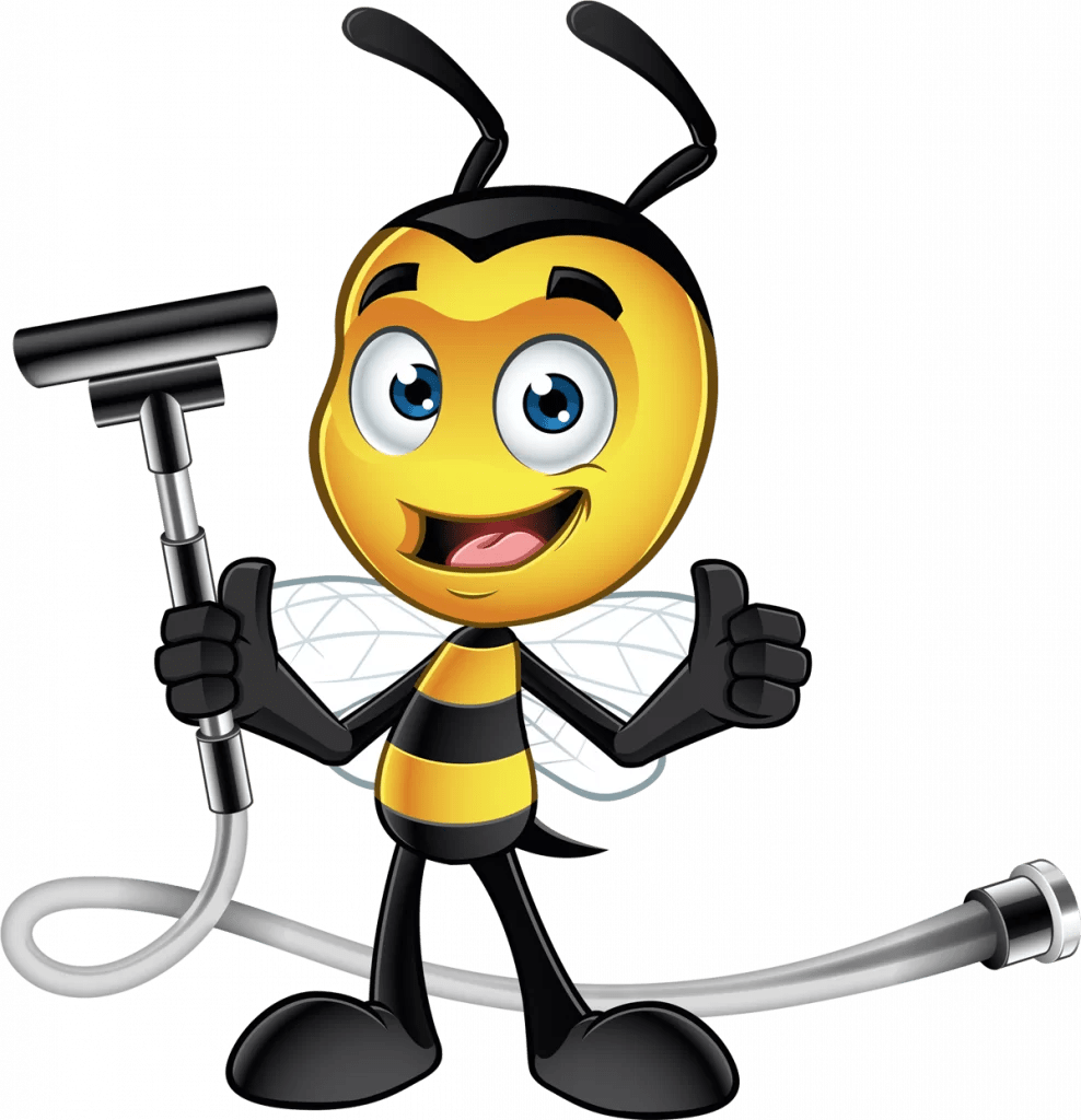 Carpet Cleaning Townsville Bee Clean NQ