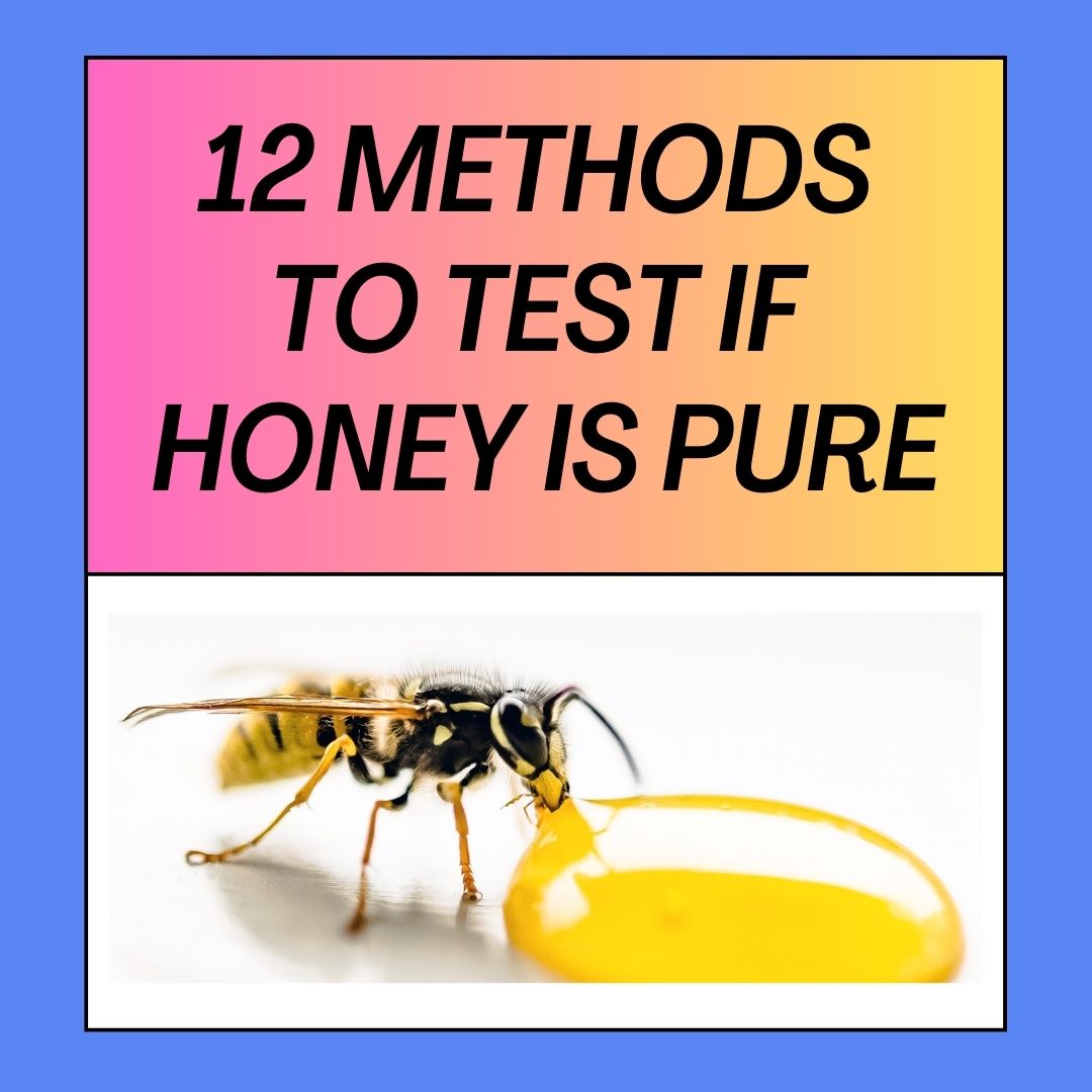 10 Methods To Test If Honey Is Pure Bee Combplex