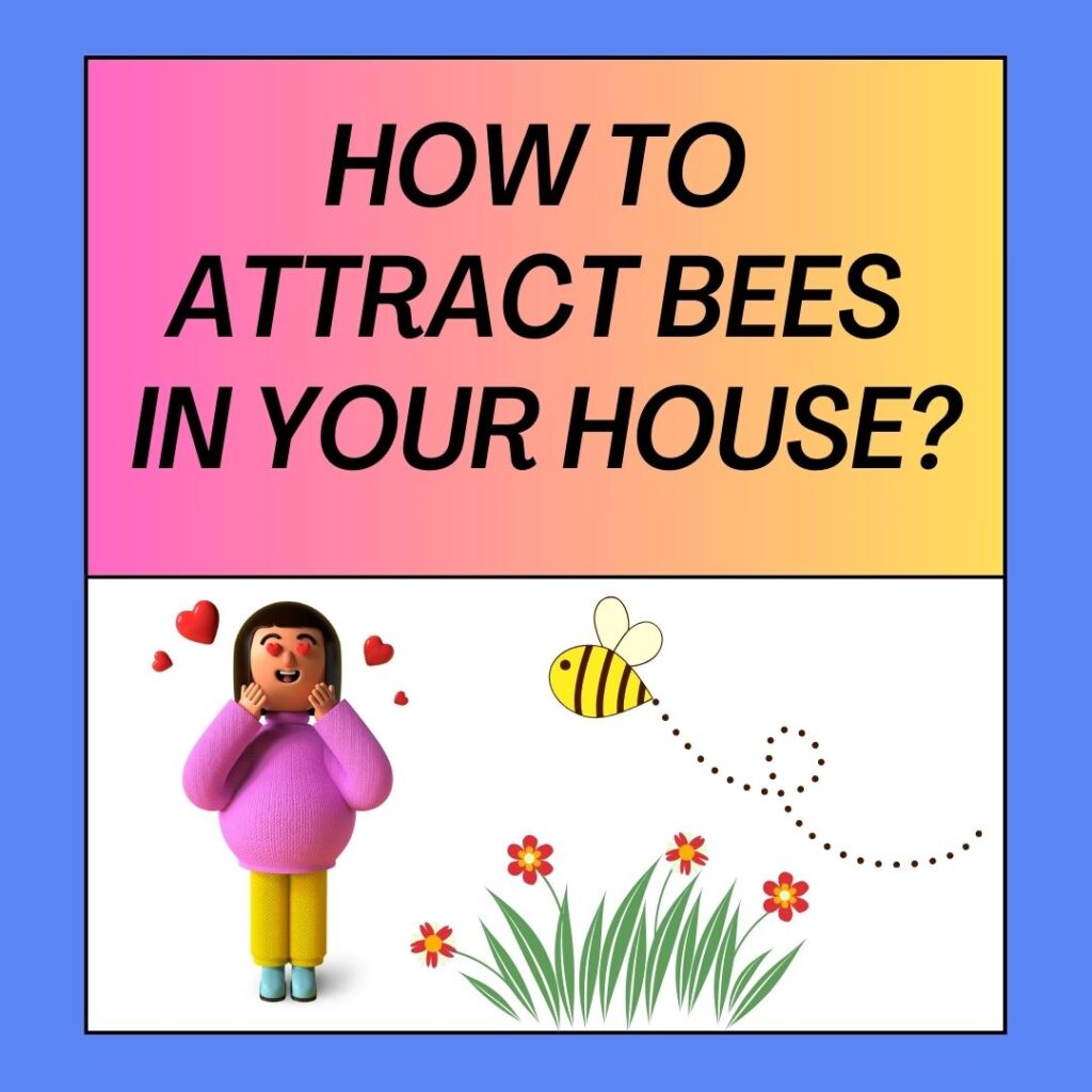 How To Attract Bees In Your House? Bee Combplex
