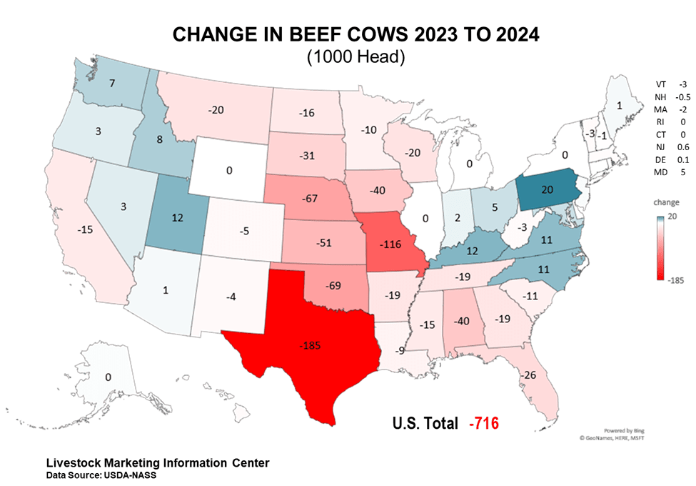 Beef Cattle Market UGA Beef Team