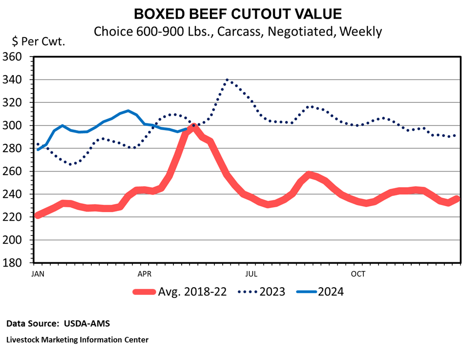 Beef Cattle Market UGA Beef Team