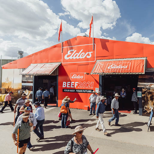 Beef Australia announce Elders as proud multievent Principal Partner